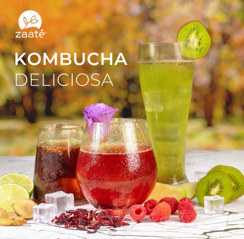 Zaaté Kombucha Te En Polvo Limonada Jengibre Chía 180g