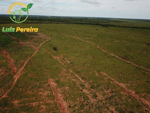 Imagem 10 de 15 de Fazenda À Venda Em Fátima - To-excelente P/ Lavoura, Plantio De Até 800 Hec - 1617