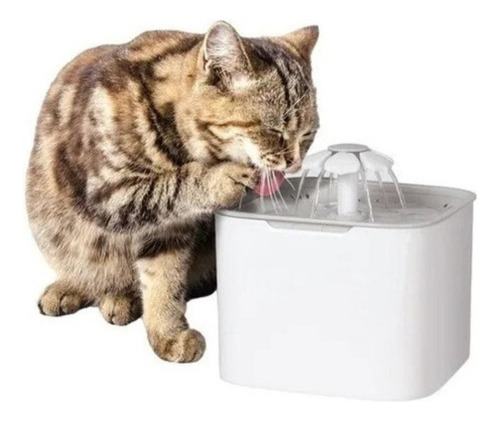 Bebedero Fuente Para Mascotas Agua Fresca Para Perro Y Gato