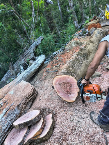 Se Vende Montaña Forestal