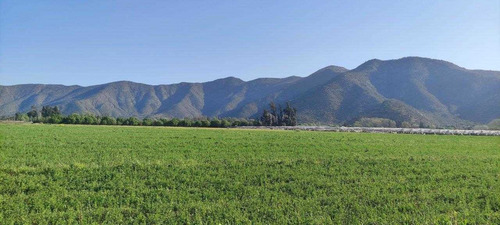 Imagen 2 de 7 de Oportunidad!!!, Terreno Agricola 30 Hectareas
