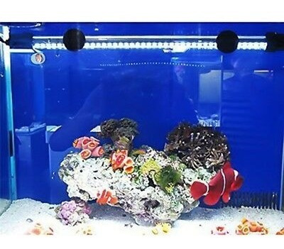 lámpara de iluminación impermeable LED Fish Tank 18/28/38/48 cm Ailova Lámpara de tubo para acuario barra para pescado y planta color blanco 18 cm 