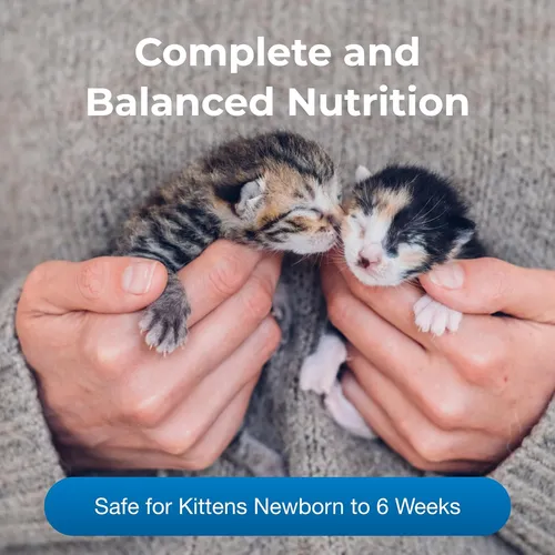 Pet-ag Kmr Kitten Milk Replacer Powder - 6 Oz - Polvo ...