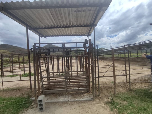 Venta De Finca Productiva Y Fondo De Comercio En Montalbán - Inmobiliaria Maggi 1417