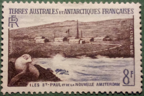 Imagen 5 de 7 de Antártida Francesa. Serie: Pingüinos Y Focas. Año 1956.