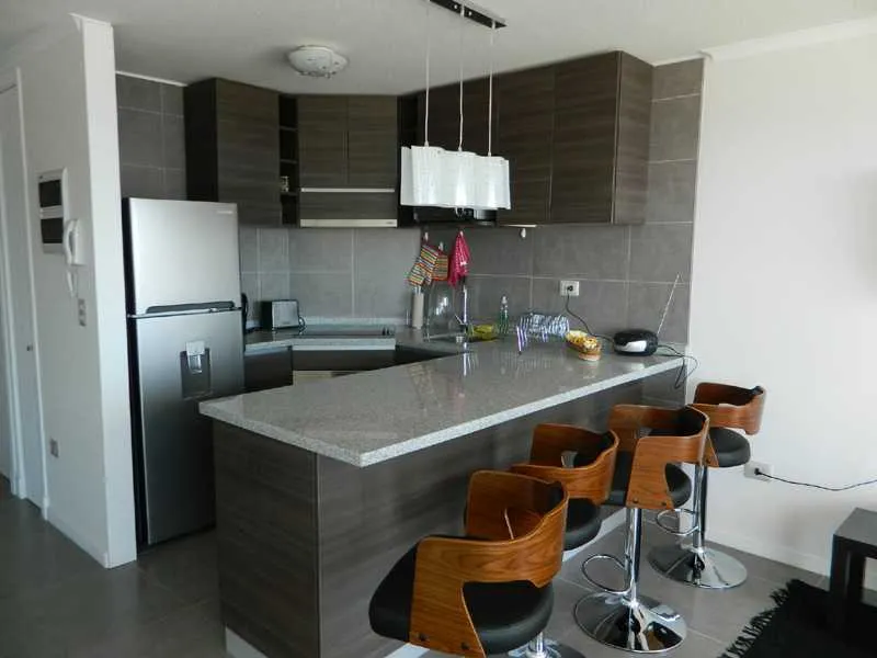 Imagen 5 de 24 de Departamento 2d 2b Zona De Playa Coquimbo (70520)