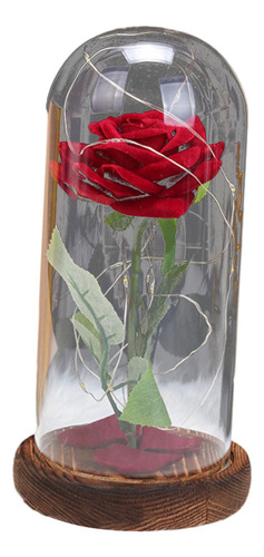 Decoración Del Día De San Valentín Flor Rosa En Cúpula