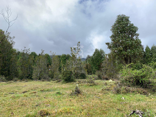 Cercana A RÃo, Orilla De Camino.