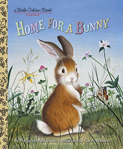 Book : Home For A Bunny A Bunny Book For Kids (little Golde