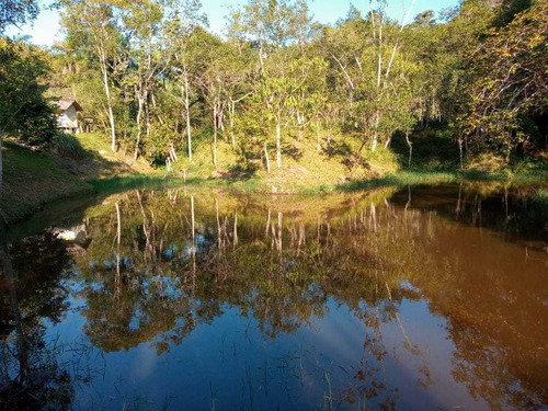 Imagem 3 de 14 de Excelente Chácara Com Lago Cod 4450