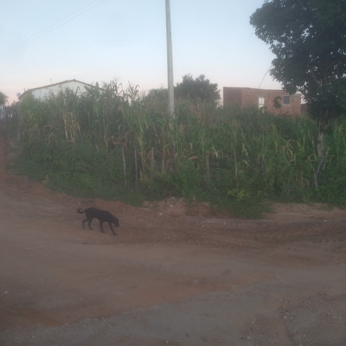Lote