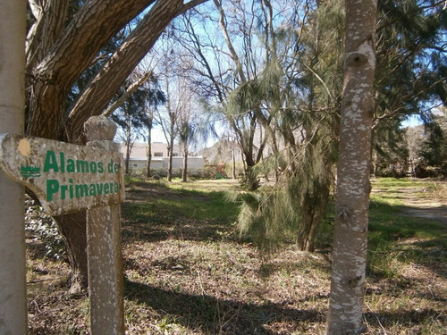 Imagen 4 de 9 de Paseo Del Bosque Manzana 160 Lote 20