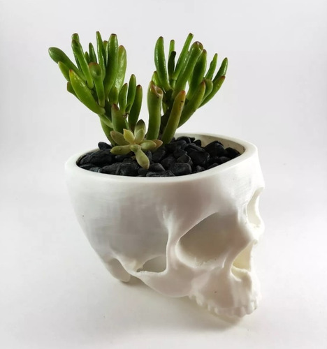 Maceta Minimalista Colgante Cráneo Calavera Suculenta/cactus
