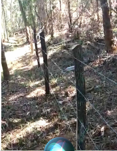 Imagem 5 de 9 de Sítio 10 Hectares No Sul De Mg