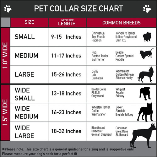 Collar Para Perro Con Hebilla Para Cinturón De Seguridad - B
