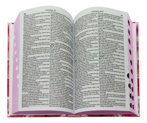 Bíblia Sagrada Rc Letra Gigante Com Harpa E Corinhos Capa Dura Floral Rosa Com Índice Lateral