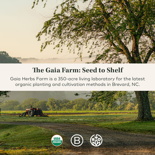 Suplemento Gaia Herbs Lions Mane Mushroom 40 Cápsulas