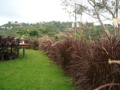 Imagen 8 de 12 de Finca Venta Corralito Riv#6143