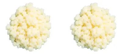 2 Mudas De Kefir Em Grãos De Leite Real Bichinho Do Iogurte