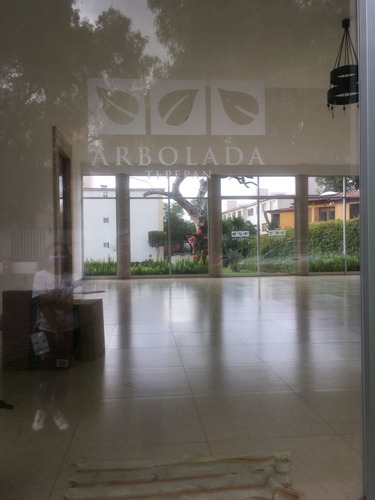 Imagen 6 de 14 de Tepepan Departamento En Venta Arbolada