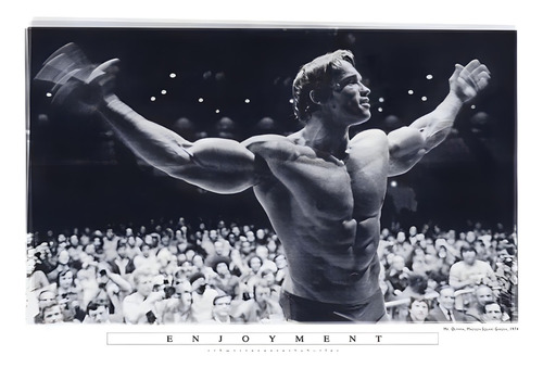 Póster Arnold Schwarzenegger Autoadhesivo 100x70cm #500