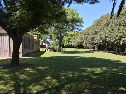 Imagen 10 de 27 de Rincon Del Doll - Casa Quinta Sobre Ripio, Parque De 6.000 M2 Arbolado