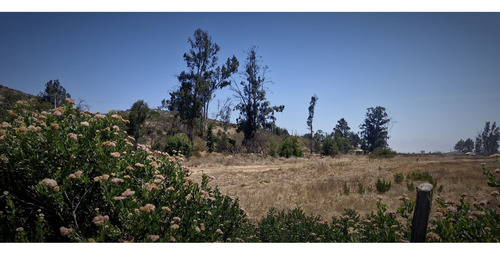 Venta De Sitio Terreno De 7,1 Hectáreas, En Tabolango, LiMac