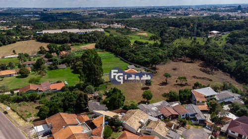 Imagem 5 de 30 de Terreno À Venda, 17538 M² Por R$ 3.500.000,00 - Guatupê - São José Dos Pinhais/pr - Te0074