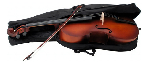 Estudante de violoncelo Amadeus Cellini 4/4 Spruce MC760l-4/4