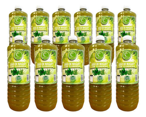 11 Botella Jugo De Maguey Asado Con Clorofila Verde Santo 1l