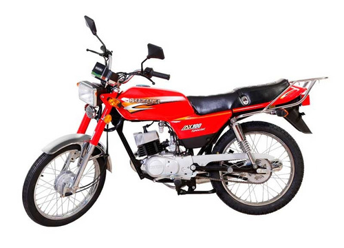 Suzuki Ax 100 Unicas