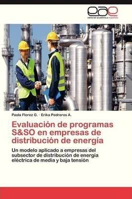 Evaluacion De Programas S&so En Empresas De Distribucion ...