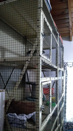 Imagen 6 de 7 de Guarderia De Gatos , Agrandamos Mas Lugares Para Tu Mascota!