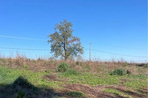 Parcela En Ruta Freire A Villarrica