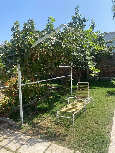 El Panul / Maria Angelica