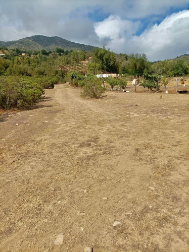 Oportunidad !! 10 Hectareas En Venta En Colliguay
