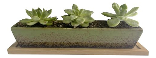 Maceta Rectangular Larga De Cerámica Verde De 9.8 Pulgadas P