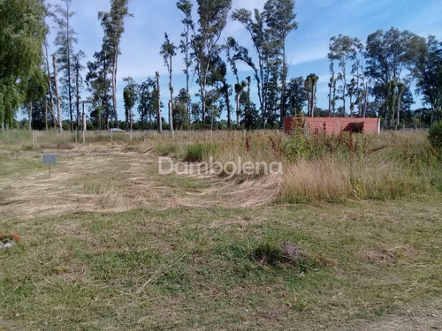 Imagen 5 de 12 de Terreno En Venta O Permuta Ubicado En General Rodríguez, General Rodríguez