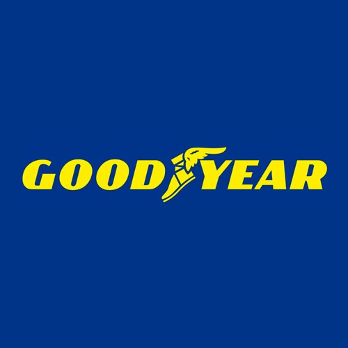 Pneu Goodyear 800-18 Supreme R-1 Tt Tfc 12 Lonas