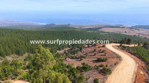 Bucalemu - Parcelas De 5000 Mt2 Con Vista Al Mar
