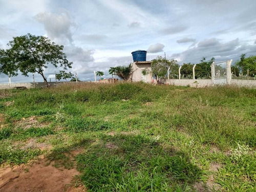 Imagem 4 de 5 de Chácara E Roça A Beira Da Barragem De São José Do Jacuípe