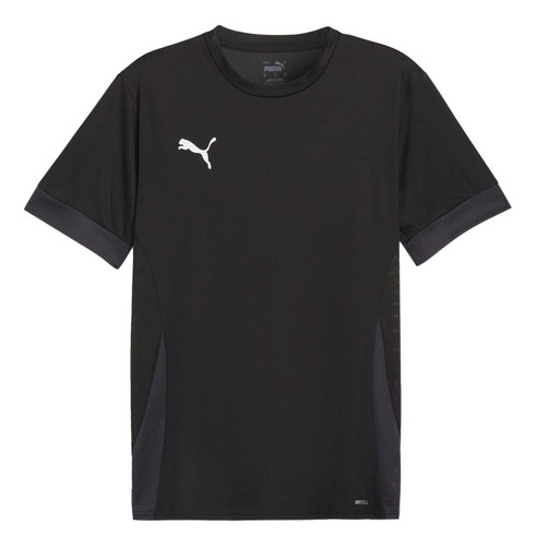 Playera Puma Teamgoal Hombre 70574703