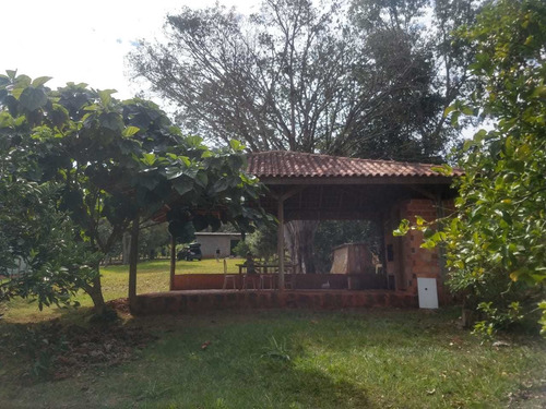 Chácara Em Boa Vista Da Aparecida Na Beira Do Rio Tormenta