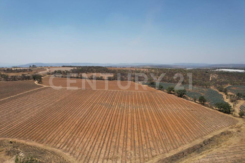 En Venta!!! Terreno Ubicado En Josefino De Allende, Jalisco.