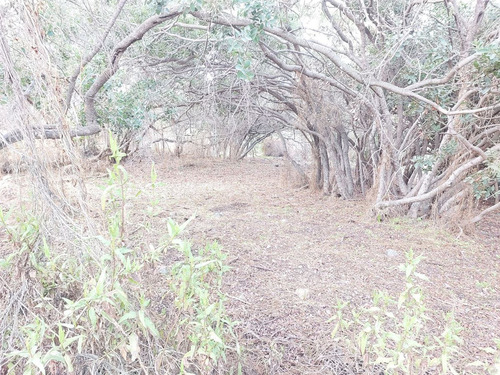 Parcela En Venta En Olmué