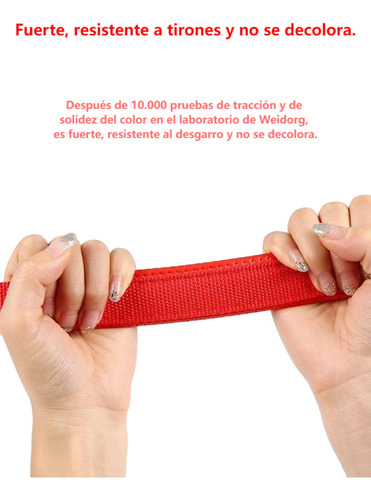Collar Para Correas Perros Con Hebilla Metálica Ajustable M Azul