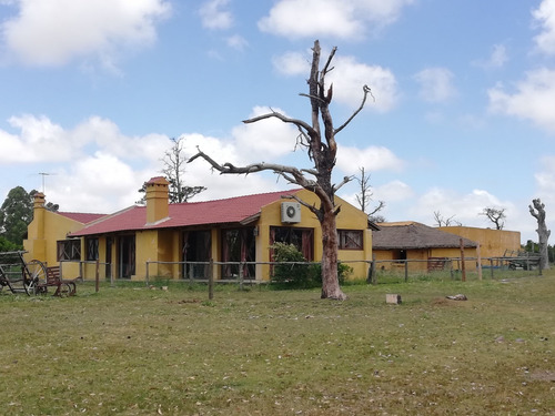 Chacra Con Casa Sobre Ruta Ib Piriápolis (ref. 3789)