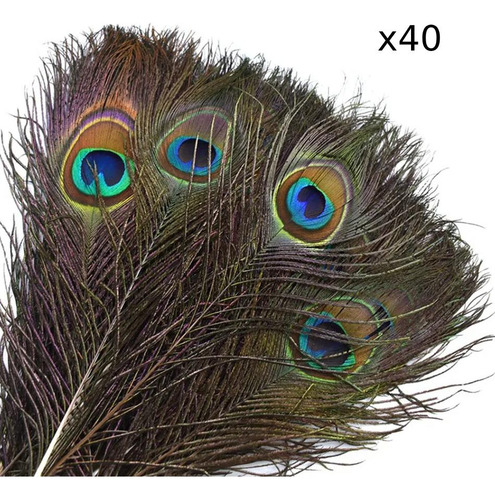 40 plumas de pavo real para manualidades, carnaval, fantasía, color verde