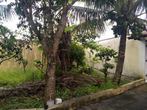 Imagem 3 de 11 de Imóvel Lado Praia Em Itanhaém - 6265