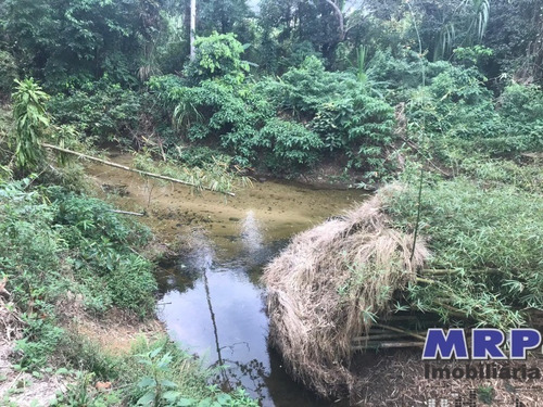 Imagem 12 de 12 de Terreno Em Ubatuba, Com Natureza Exuberante, Acesso Ao Rio, 1.500m², Bairro Residencial. - Te00142 - 34370754